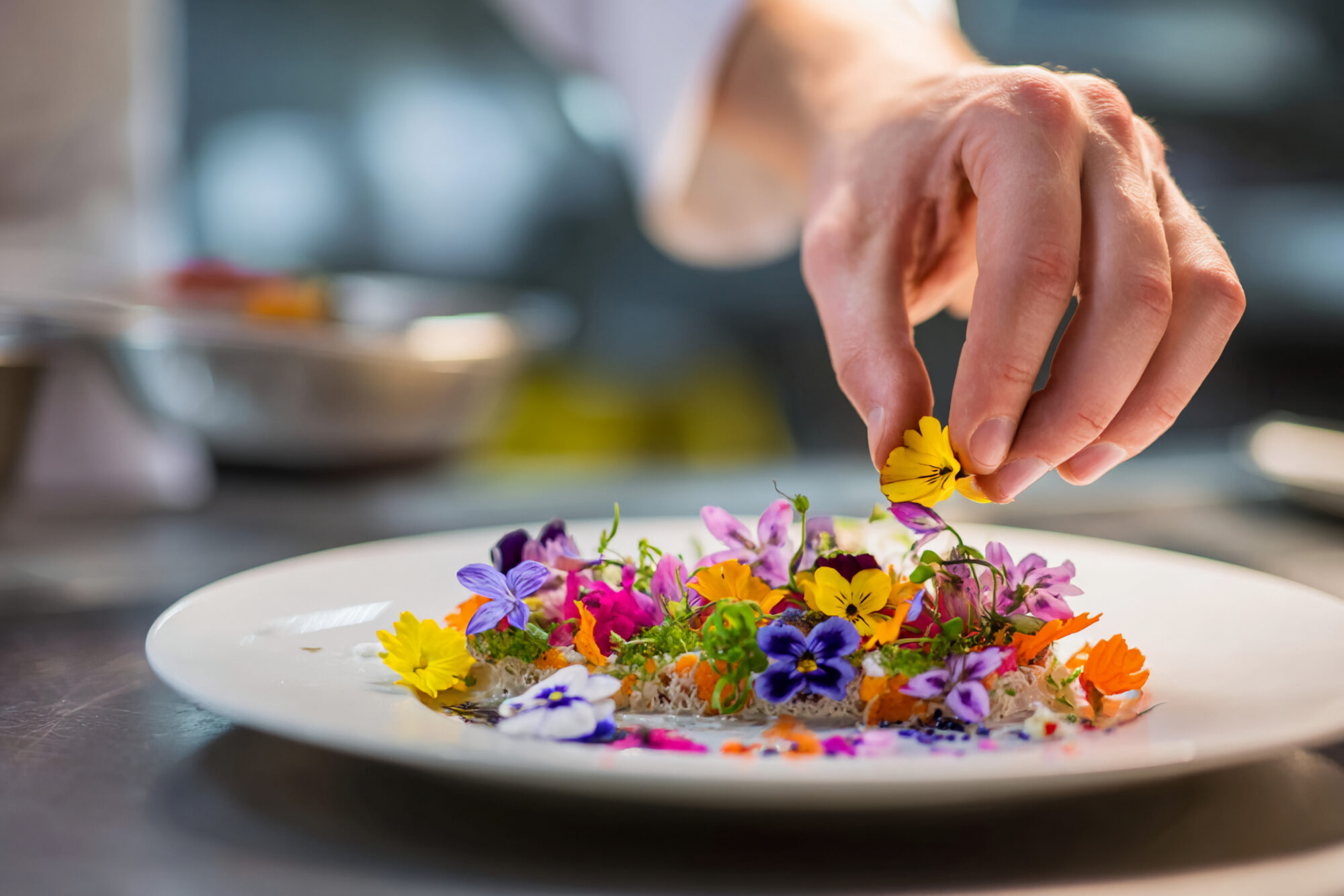Hand dekoriert ein Gericht mit essbaren Blüten und Kräutern
